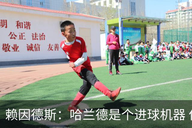 赖因德斯：哈兰德是个进球机器 但最佳前锋我选加克波